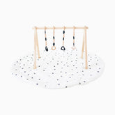 Play Gym Set