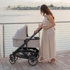 Cruz V3 Stroller & Bassinet V3 Bundle