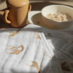 Organic Muslin Burpy Bibs (2 Pack)