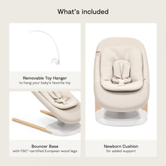Yoga 2-in-1 Swing and Bouncer