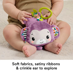 Sing & Go Purple Monkey