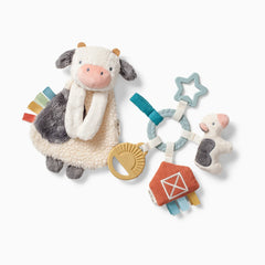 Plush Lovey & Teething Activity Toy Gift Set