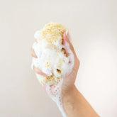 Sea Sponge