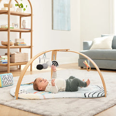 Discoverosity Montessori Activity Gym