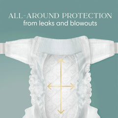AMORE Diapers