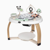 5-in-1 Stationary Activity Center