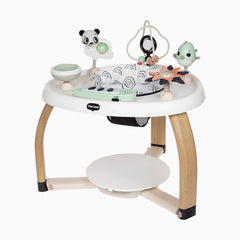 5-in-1 Stationary Activity Center
