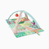 Farmstand Activity Gym