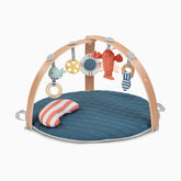 Cozy Spot Duvet Baby Activity Gym and Play Mat
