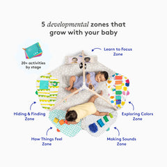 The Play Gym