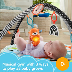 3-in-1 Music, Glow and Grow Gym