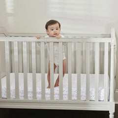Mini Crib Size Little Dreamer Mattress