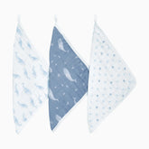 Organic Washcloth (3 Pack)