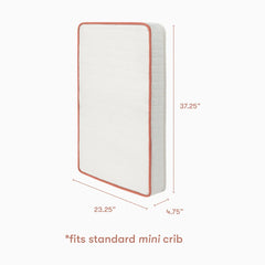 babyletto x Avocado Mini Crib Size Organic Mattress