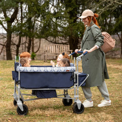 Summit Quad Wagon Stroller