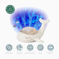 Tranquil Whale