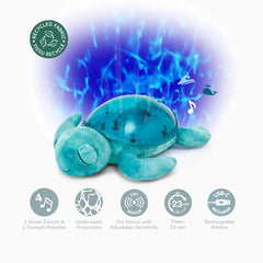 Tranquil Turtle