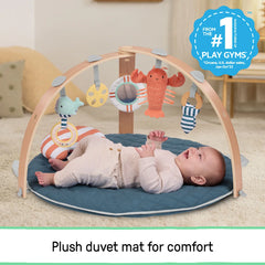 Cozy Spot Duvet Baby Activity Gym and Play Mat