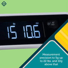 Smart Family Scale