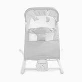 Alpine Wave Deluxe Bouncer