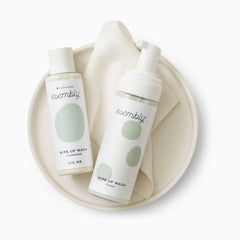 Foaming Wipe Up Wash Kit