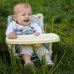 Portable Booster Chair