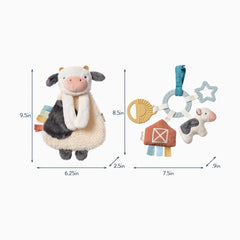 Plush Lovey & Teething Activity Toy Gift Set