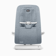 E-Motion Auto-Glider & Bouncer