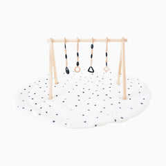 Play Gym Set