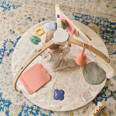 The Play Gym II