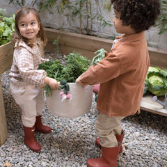 Veggies Basket
