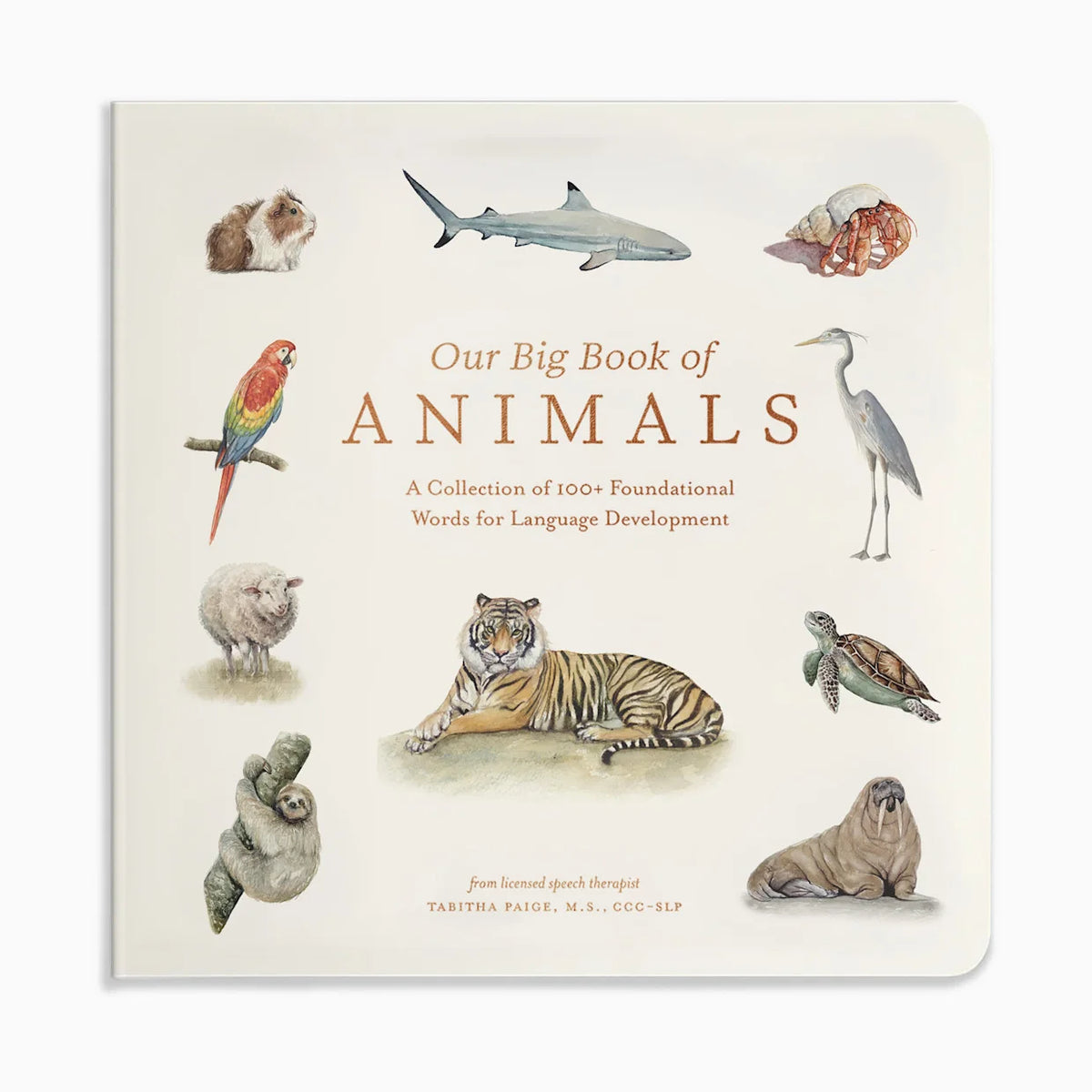 Our Big Book of Animals