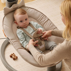 2-in-1 Electric Swing