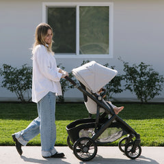 Vista V3 Stroller & Mesa V3 Infant Car Seat Travel System