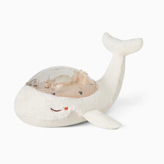 Tranquil Whale
