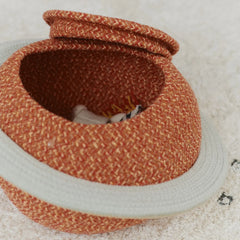 Saturn Basket