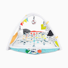 Hello Baby Play Gym