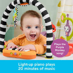 2 in 1 Purple Monkey Musical Activity Center