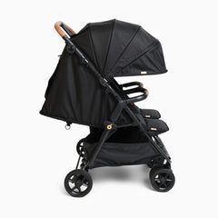 Twinᵛ³ Double Stroller
