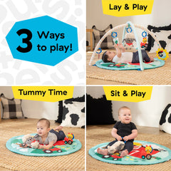 Farm Explorers Happy Harvest Touch & Feel Activity Gym