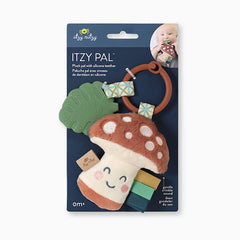 Plush Pal with Silicone Teether
