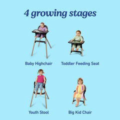Ready2Dine DLX Highchair