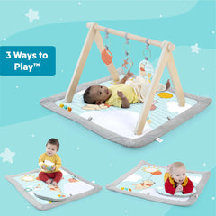 Disney Baby Winnie The Pooh Once Upon a Tummy Time Activity Gym