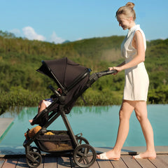 Meteor 2 Stroller